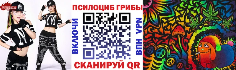 цены наркотик  Дубна  Псилоцибиновые грибы мухоморы 